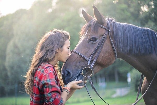 Horse and owner Horse and owner