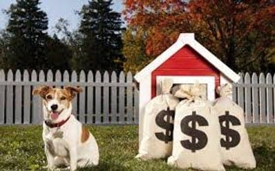 Dog sitting next to a dog kennel Dog sitting next to a dog kennel
